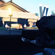 Image for article titled The People In Ghost Of Tsushima Need To Clean Up All The Corpses